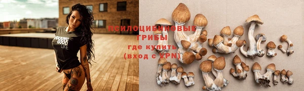 героин Абаза