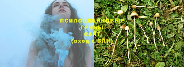 ПСИЛОЦИБИНОВЫЕ ГРИБЫ Карталы