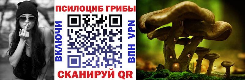 Галлюциногенные грибы MAGIC MUSHROOMS  Весьегонск 